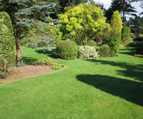 South London Gardener